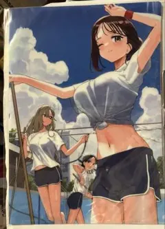 みょーちゃん先生はかく語りき　A4クリアファイル