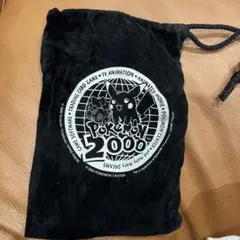 【レトロ】ポケモン2000 黒ベロア巾着