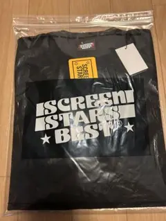 SCREEN STARS Tシャツ ビンテージ 無地 スクリーンスターズ ②