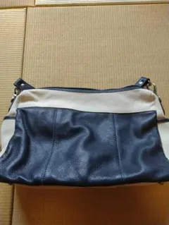 Item thumbnail for item f6fe2e11-7845-44fb-adc3-43433f8da845