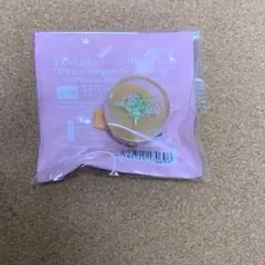 【あんスタ】遊木真 リングライト スタライ
