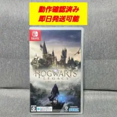 ホグワーツレガシー Switch 動作確認済み