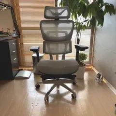 美品‼️COFO Chair Premium