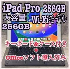 【美品】iPad Pro 10.5インチ256GB Wi-Fiモデル