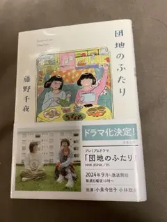 文庫本『団地のふたり』藤野千夜著
