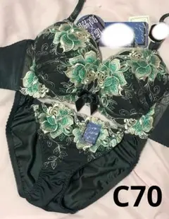 C70 フローリッシュローズ育乳脇高ブラジャー&フルバックショーツ
