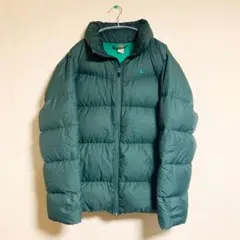 NIKE ダウンジャケット 胸スウッシュロゴ 大きいサイズ グリーン