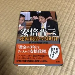 安倍晋三逆転復活の300日