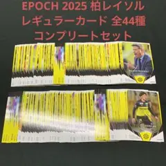 EPOCH 2025 柏レイソル レギュラーカード 全44種 コンプリートセット