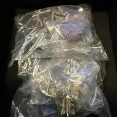NTC　古生物　トリケラトプス　ティラノサウルス未開封品