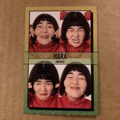 よしもとコレカ5th Edition(ゆにばーす・はら)