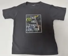 【美品】GLOBAL WORK 恐竜プリント Tシャツ 140