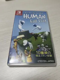 ヒューマンフォールフラット Switch カセット