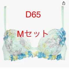 【タイムセール、明日まで】サルート BTJ432 D65 M Tバック