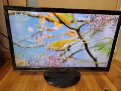 Item thumbnail for item f483005e-6e1b-4787-b3f5-3b30fc9106c0