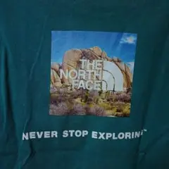 THE NORTH FACE グラフィックTシャツ ダークグリーン
