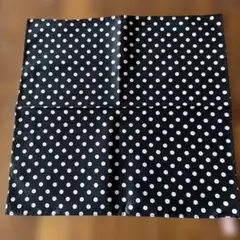 Item thumbnail for item 56016bae-95d2-4b3c-b145-151ae56554e1