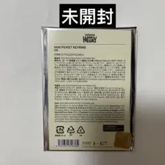 セブチ SEVENTEEN holiday ペンミ ドギョム ミニピケット