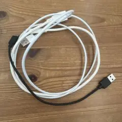 USBケーブル ホワイトとブラック