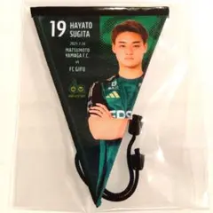 松本山雅 ハッピーくじ限定 マッチデーガーランド 19番 杉田隼選手 非売品