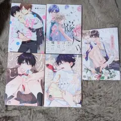 BL 漫画 4冊セット ナカまであいして、星つむぎの嫁入り、そういう「好き」では