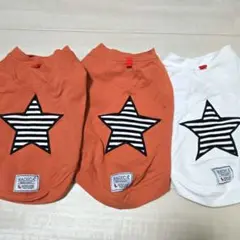 Item thumbnail for item 448be505-6c1c-42c4-a354-ee428a05818a