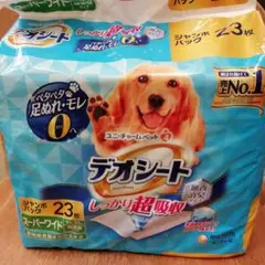 Item thumbnail for item edb4dbcd-d162-4477-b25b-812164d88640