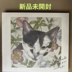 3676【新品未開封】Standards