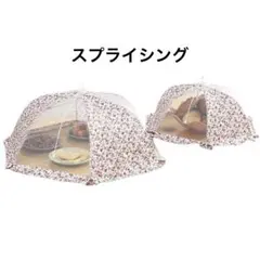 Item thumbnail for item 88809bcb-f76d-4308-856e-939bff253c68