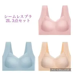 ナイトブラ 2L 3点セット　育乳　ヨガ