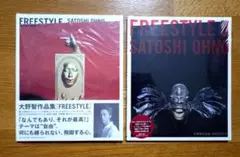 大野智 FREESTYLE 作品集 フリースタイル Ⅱ 2冊セット