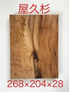 屋久杉 58 目細　銘木