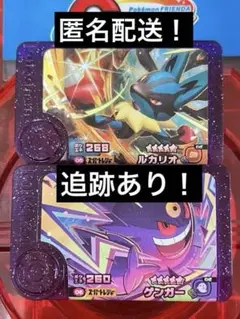 ポケモンフレンダ ルカリオ ゲンガー バトルタッグ1弾