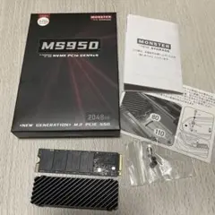 Monster Storage 2TB SSD