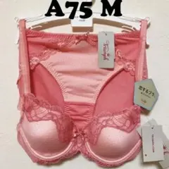 トリンプ 恋するブラ493 ブラジャー ショーツ