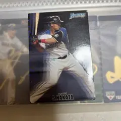 中田翔 ファイターズ プロ野球チップス