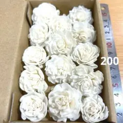 ソラフラワー　200