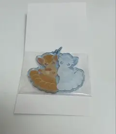 にたものどうし アクリルチャームコレクション ロコポケモンセンター