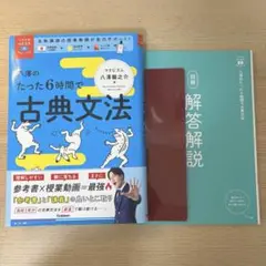 八澤のたった6時間で古典文法 別冊・赤シート付き