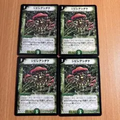 01069 シビレアシダケ