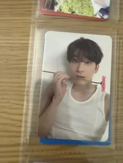 seventeen ウォヌ トレカ