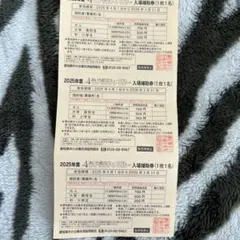 あいち航空ミュージアム割引券3枚