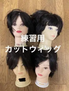 カットウィッグ 練習用