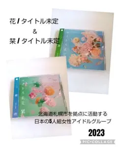 花 / 栞 / タイトル未定 2023年作品 2枚セット