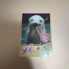 鳥羽水族館 コレクションカード メイ