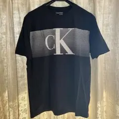 カルバンクライン メンズ Tシャツ ブラック US Mサイズ