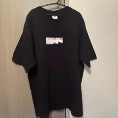 Supreme EmilioPucciエミリオプッチBox Logo