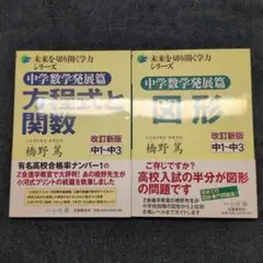 中学数学発展篇 方程式と関数 と図形 の2冊セット