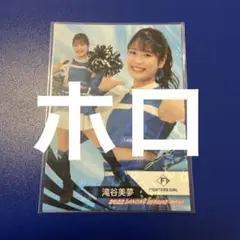 Item thumbnail for item c2fded43-8137-4b72-8611-69ab4b99cf3f