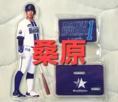 【未使用品】横浜DeNAベイスターズ　アクリルスタンド（桑原選手）